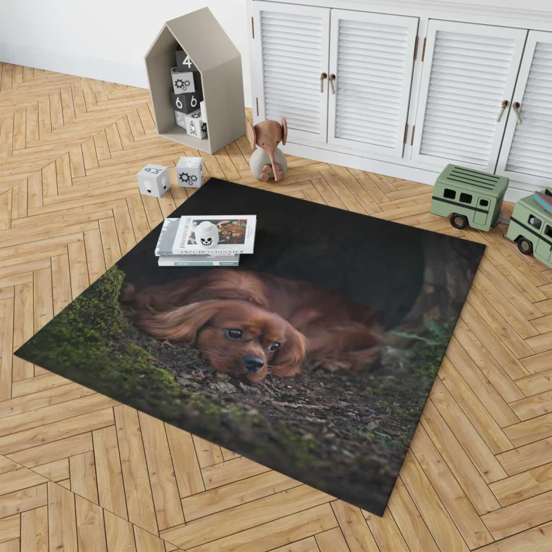 Royal Beauty Quartet: King Charles Spaniels Floor Rug 1