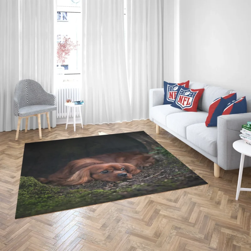 Royal Beauty Quartet: King Charles Spaniels Floor Rug 2