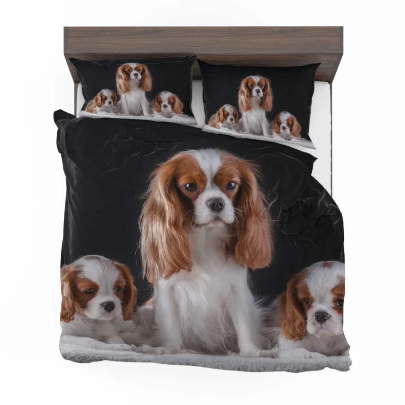 Royal Canine Charm: King Charles Spaniel and Puppies Bedding Set 1