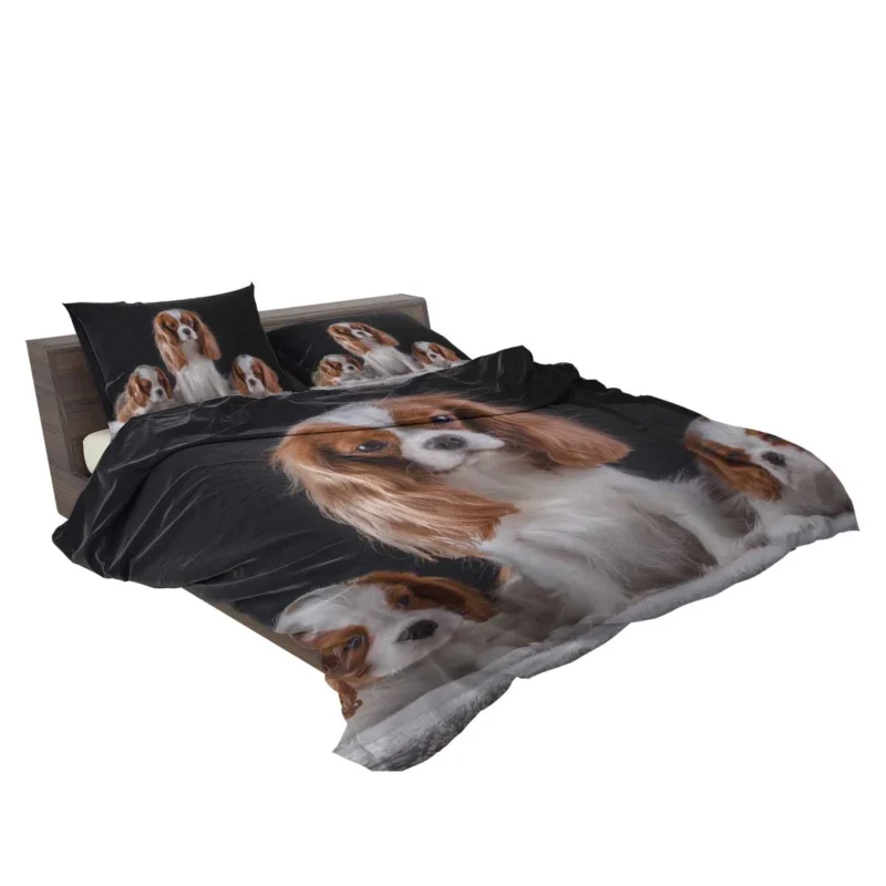 Royal Canine Charm: King Charles Spaniel and Puppies Bedding Set 2