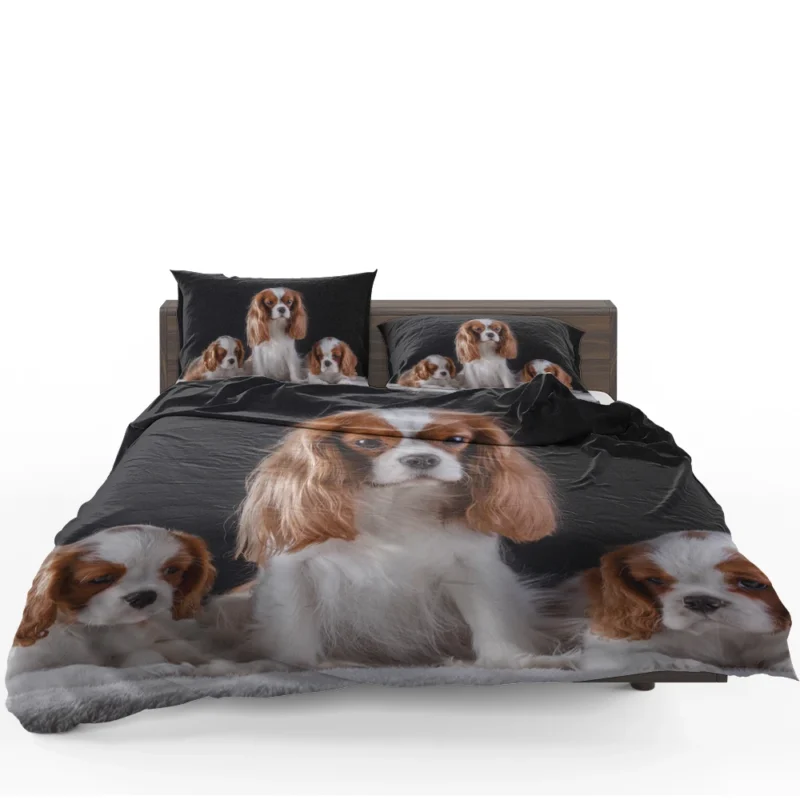 Royal Canine Charm: King Charles Spaniel and Puppies Bedding Set