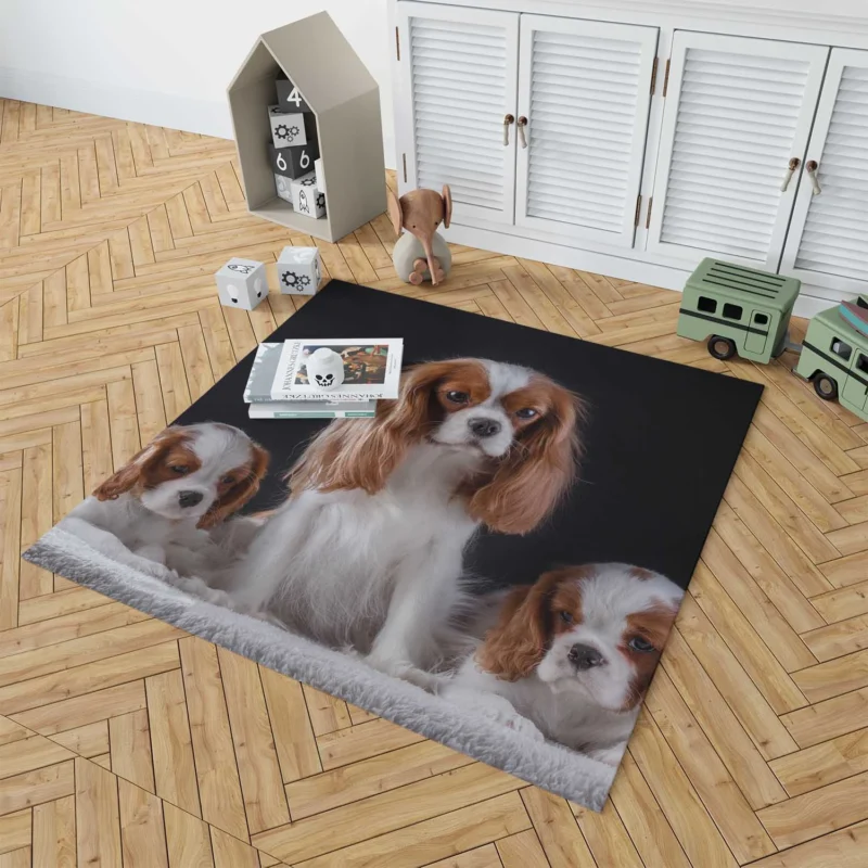 Royal Canine Charm: King Charles Spaniel and Puppies Floor Rug 1