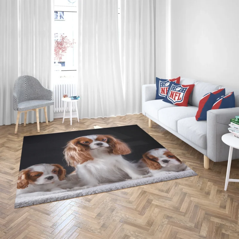 Royal Canine Charm: King Charles Spaniel and Puppies Floor Rug 2