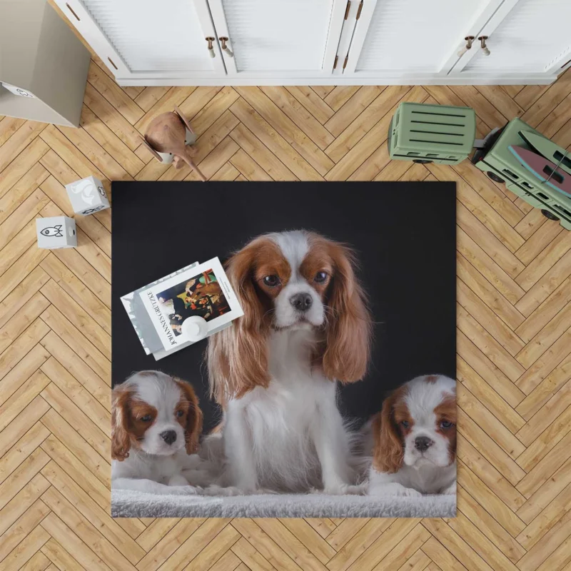 Royal Canine Charm: King Charles Spaniel and Puppies Floor Rug