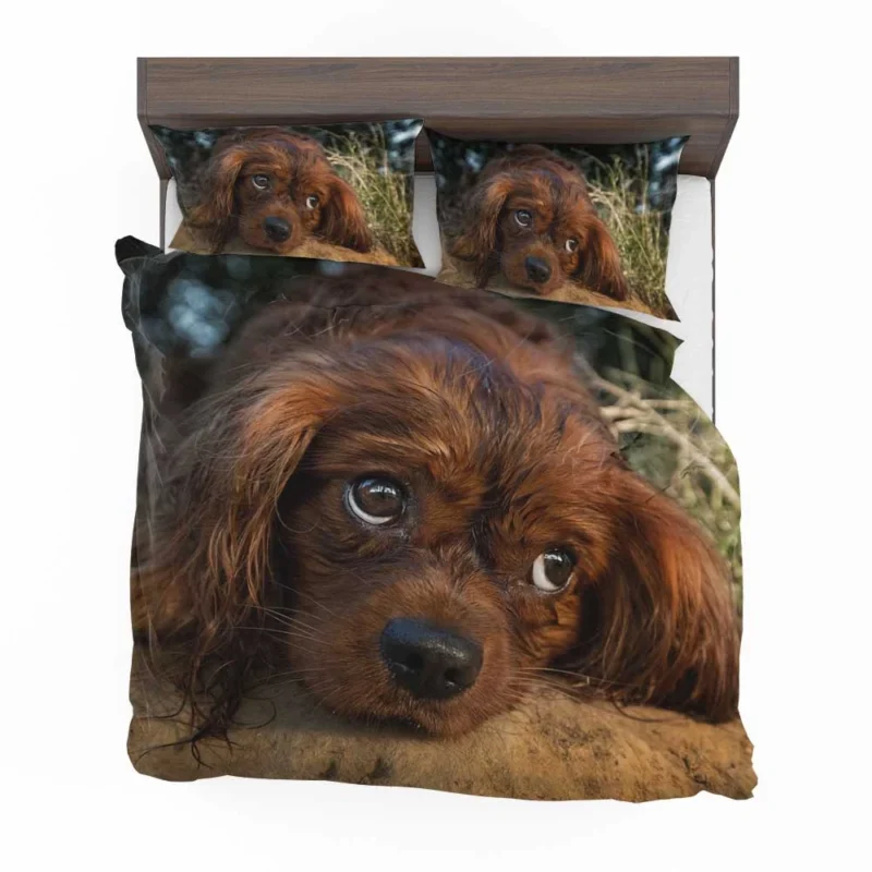 Royal Quartet of Canine Love: King Charles Spaniels Bedding Set 1