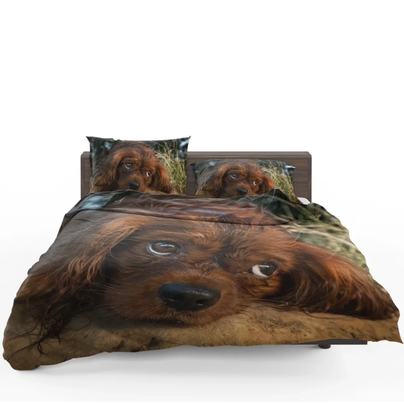 Royal Quartet of Canine Love: King Charles Spaniels Bedding Set