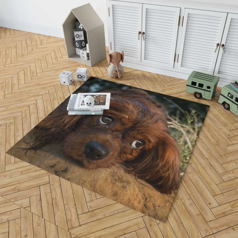 Royal Quartet of Canine Love: King Charles Spaniels Floor Rug 1