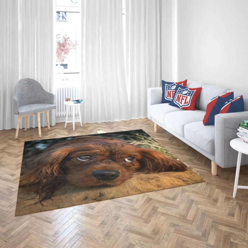 Royal Quartet of Canine Love: King Charles Spaniels Floor Rug 2