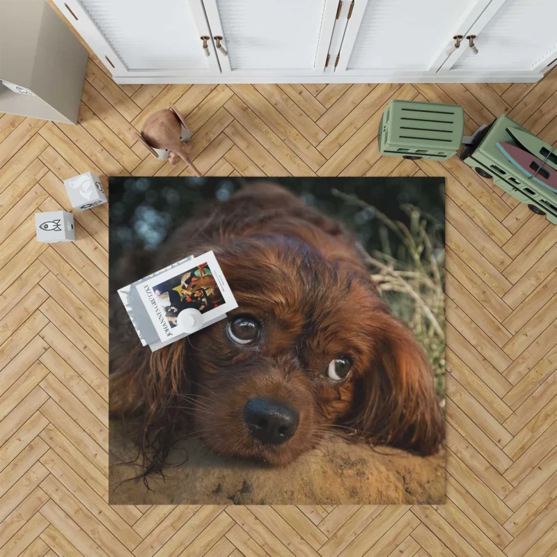 Royal Quartet of Canine Love: King Charles Spaniels Floor Rug