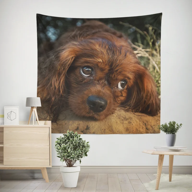 Royal Quartet of Canine Love  King Charles Spaniels Wall Tapestry