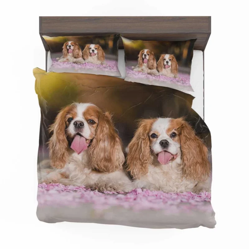 Royal Quartet of Charm: King Charles Spaniels Bedding Set 1