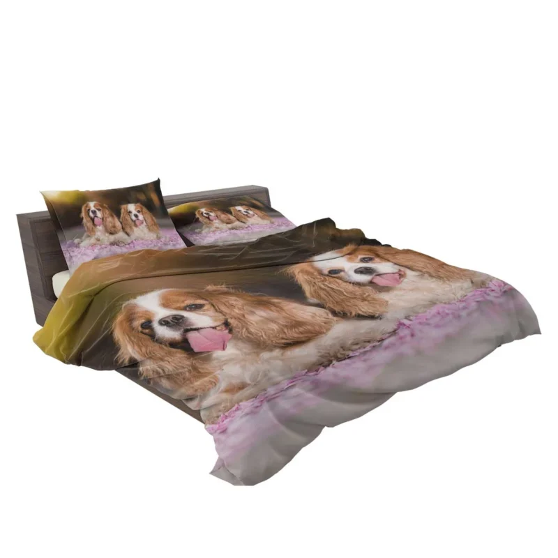 Royal Quartet of Charm: King Charles Spaniels Bedding Set 2