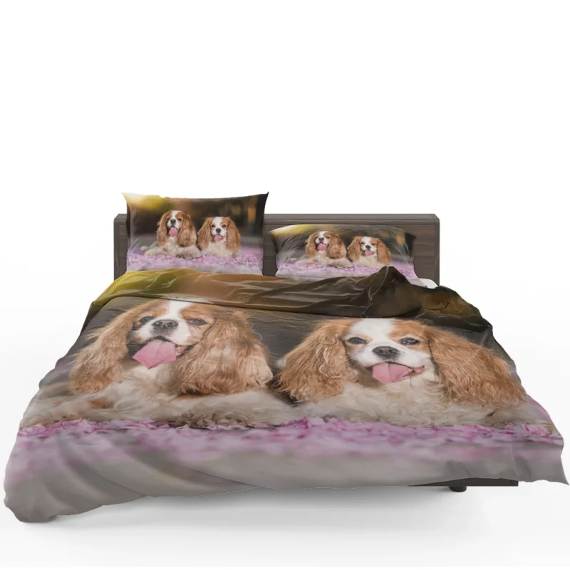 Royal Quartet of Charm: King Charles Spaniels Bedding Set