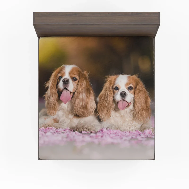 Royal Quartet of Charm: King Charles Spaniels Fitted Sheet