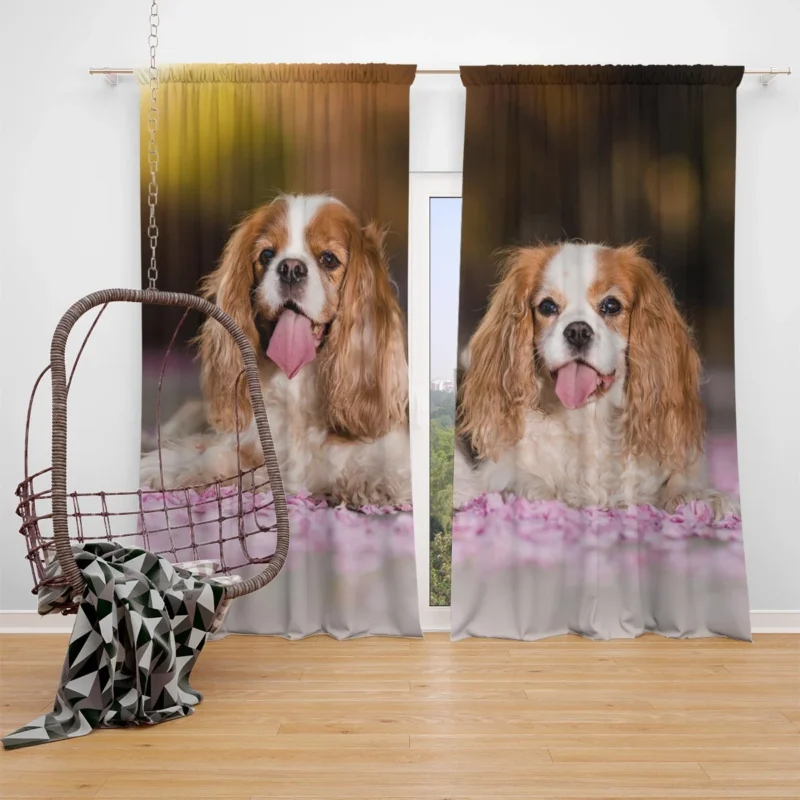 Royal Quartet of Charm: King Charles Spaniels Window Curtain