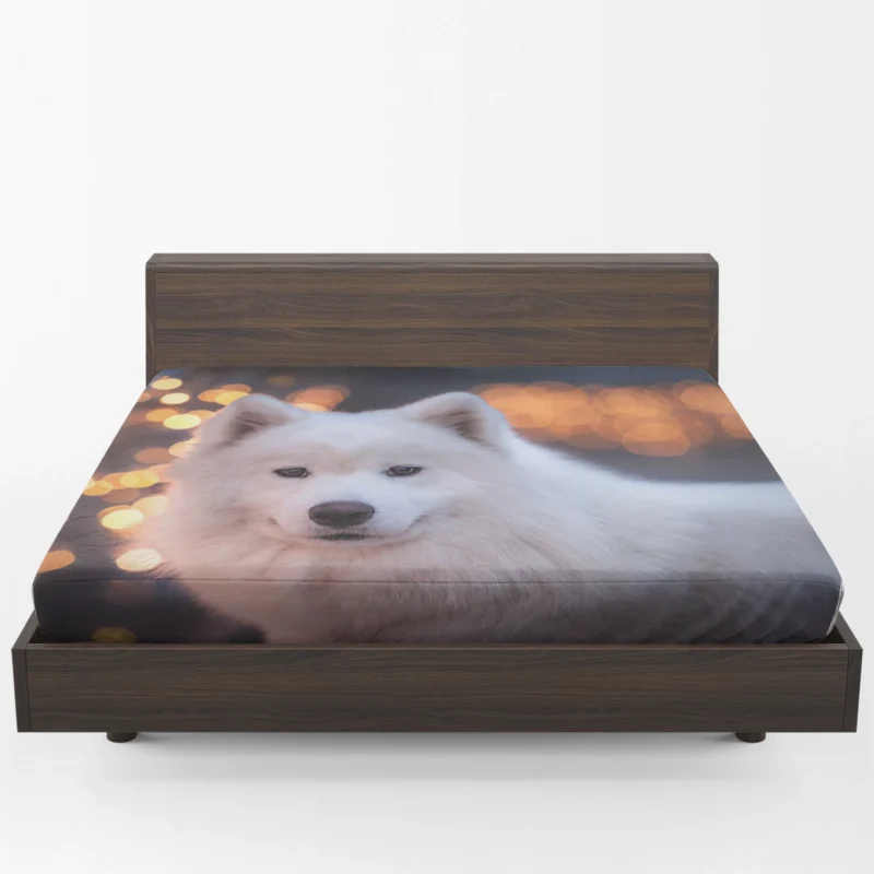 Samoyed Bokeh: Quartet Fitted Sheet 1