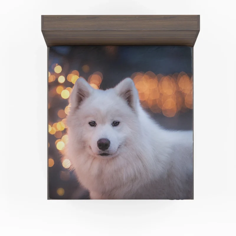 Samoyed Bokeh: Quartet Fitted Sheet