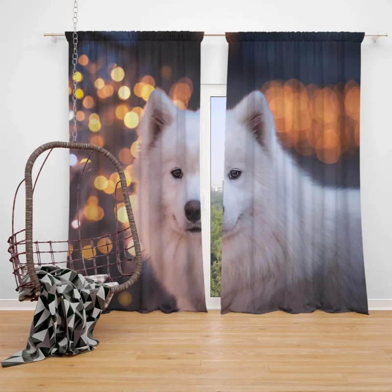 Samoyed Bokeh: Quartet Window Curtain