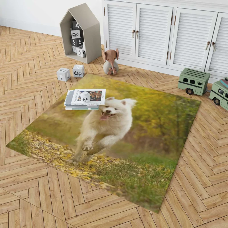 Samoyed Charm Dog: Quartet Floor Rug 1