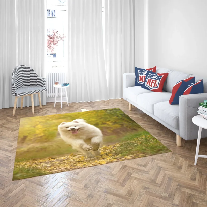 Samoyed Charm Dog: Quartet Floor Rug 2