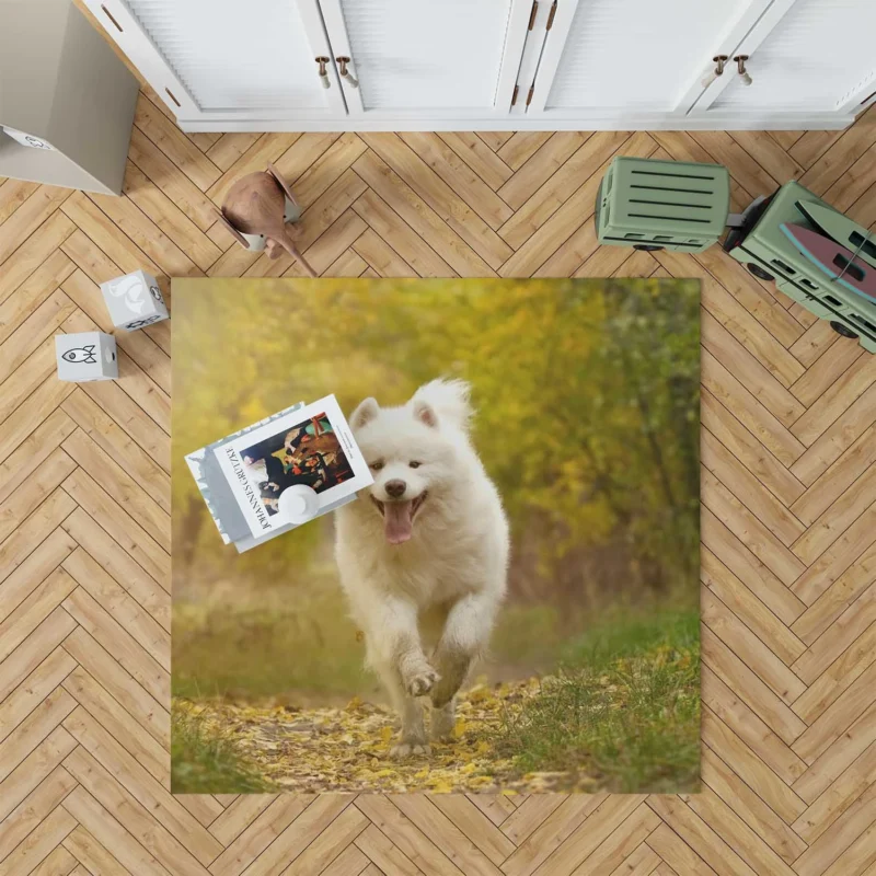 Samoyed Charm Dog: Quartet Floor Rug