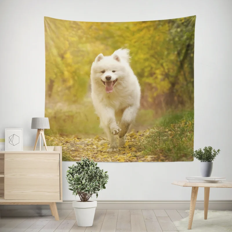 Samoyed Charm Dog  Quartet Wall Tapestry