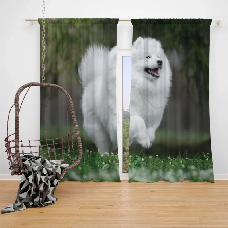 Samoyed Charm: Quartet Window Curtain