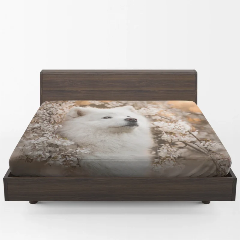 Samoyed Elegance: Quartet Fitted Sheet 1