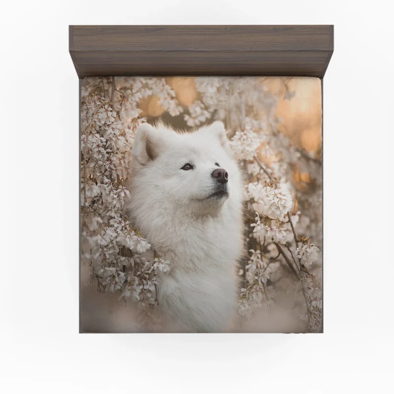 Samoyed Elegance: Quartet Fitted Sheet