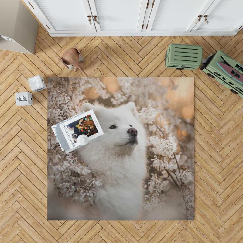 Samoyed Elegance: Quartet Floor Rug