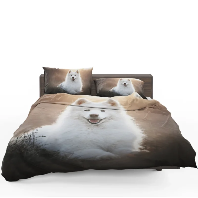 Samoyed Playful Charm: Quartet Bedding Set