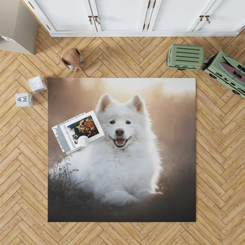 Samoyed Playful Charm: Quartet Floor Rug