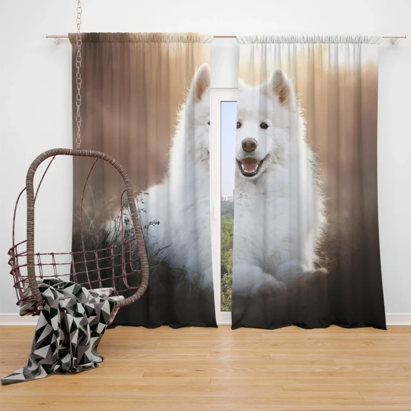 Samoyed Playful Charm: Quartet Window Curtain