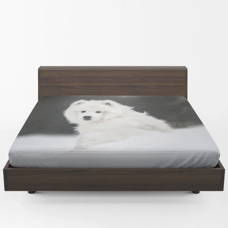 Samoyed in the Snow: Quartet Fitted Sheet 1