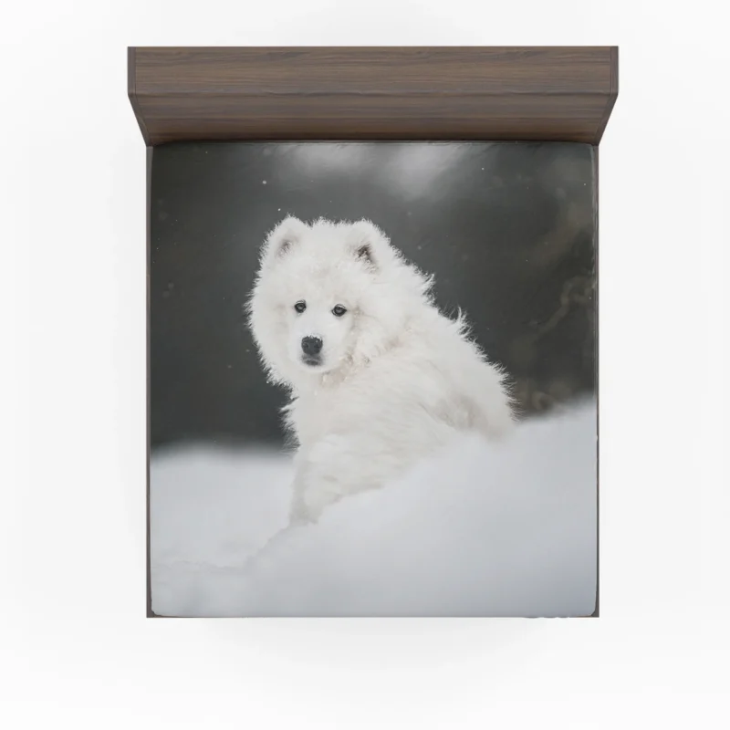 Samoyed in the Snow: Quartet Fitted Sheet