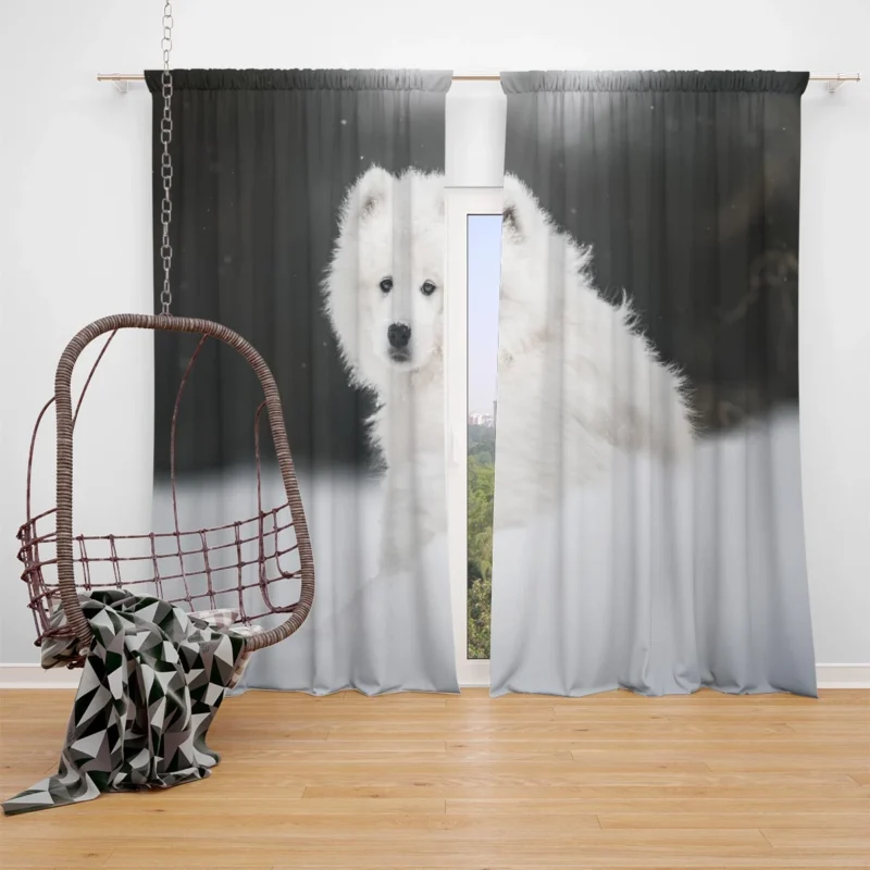 Samoyed in the Snow: Quartet Window Curtain