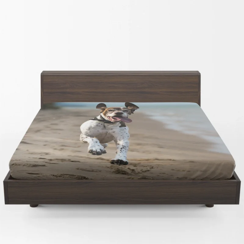 Sandy Beach Bliss: German Shorthaired Pointers Fitted Sheet 1