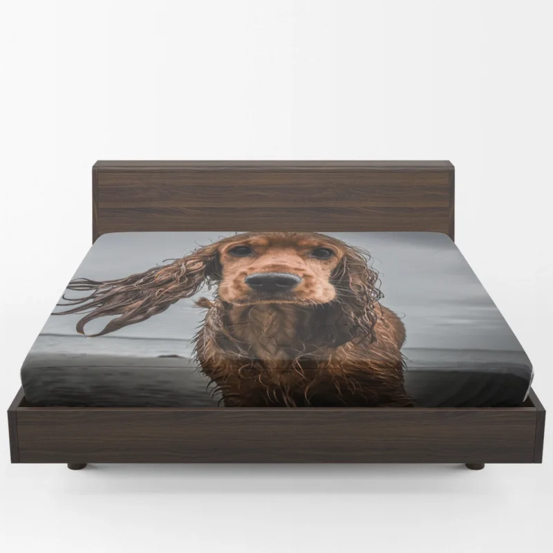 Sandy Beach Muzzle: Cocker Spaniel Quartet Fitted Sheet 1