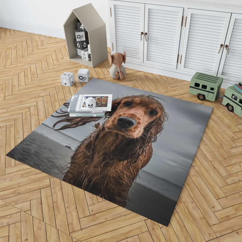 Sandy Beach Muzzle: Cocker Spaniel Quartet Floor Rug 1