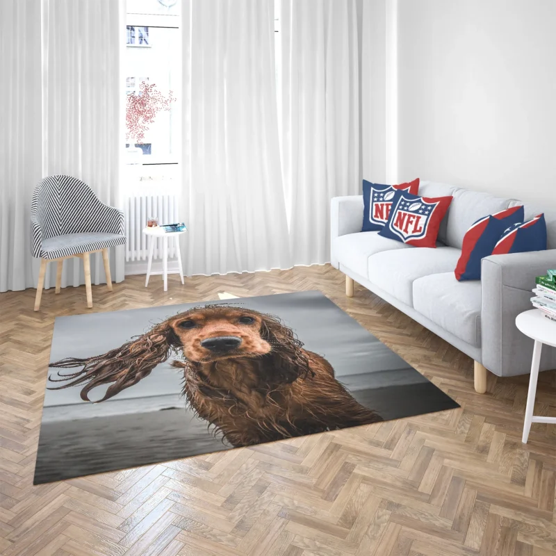 Sandy Beach Muzzle: Cocker Spaniel Quartet Floor Rug 2