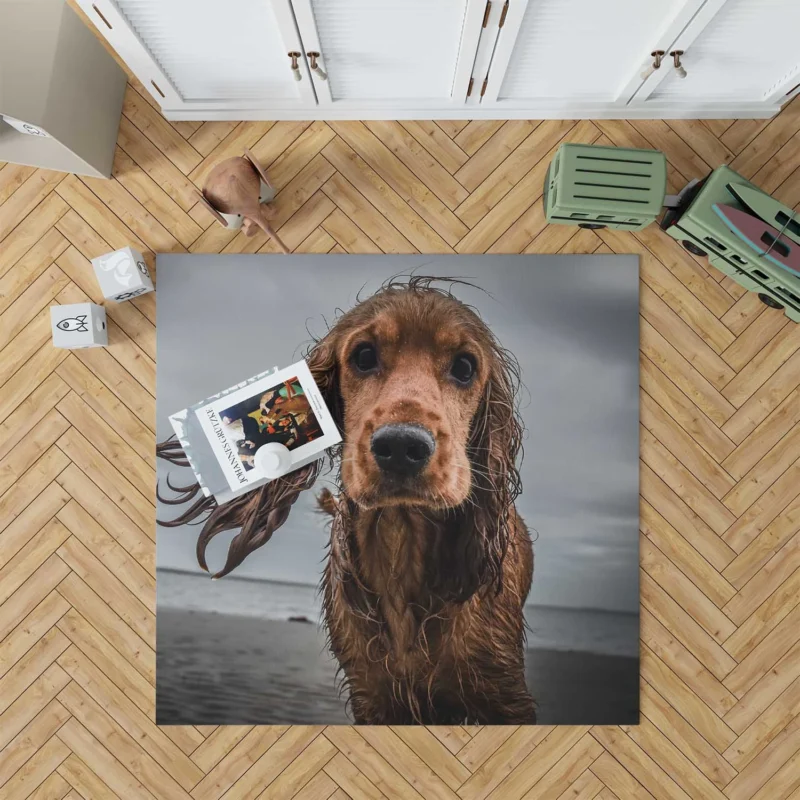 Sandy Beach Muzzle: Cocker Spaniel Quartet Floor Rug