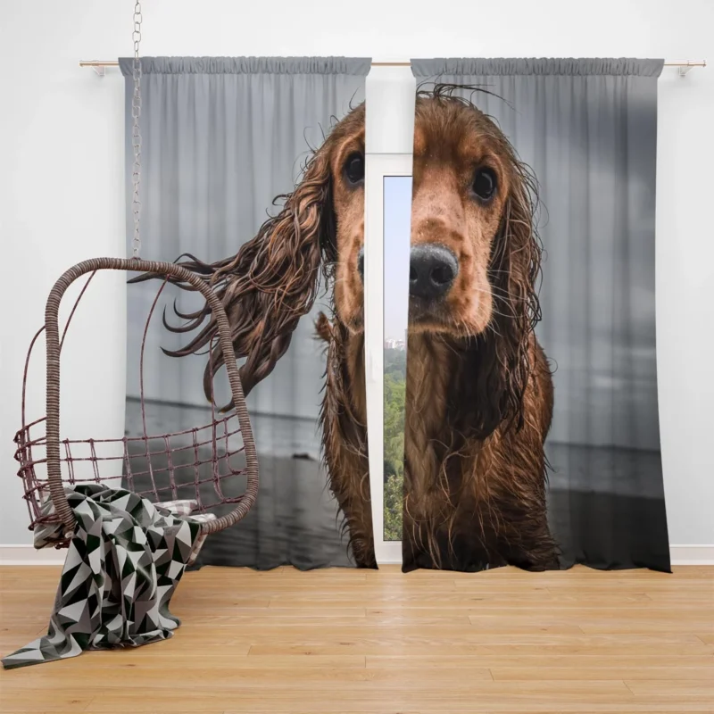 Sandy Beach Muzzle: Cocker Spaniel Quartet Window Curtain