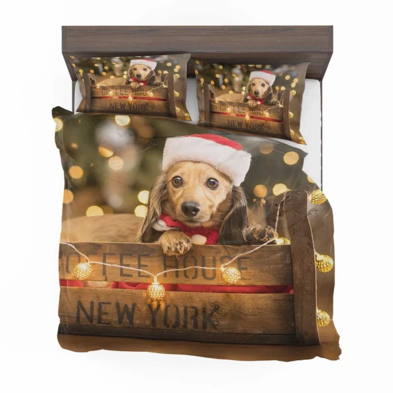 Santa Hat Dachshund Pup in a Box: Dachshund Quartet Bedding Set 1