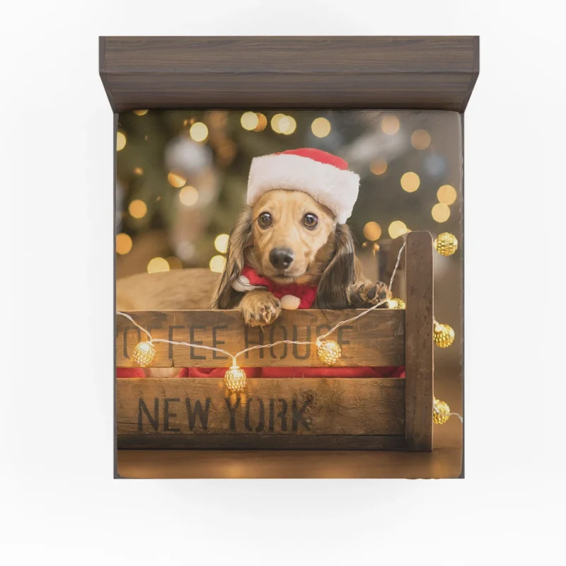 Santa Hat Dachshund Pup in a Box: Dachshund Quartet Fitted Sheet