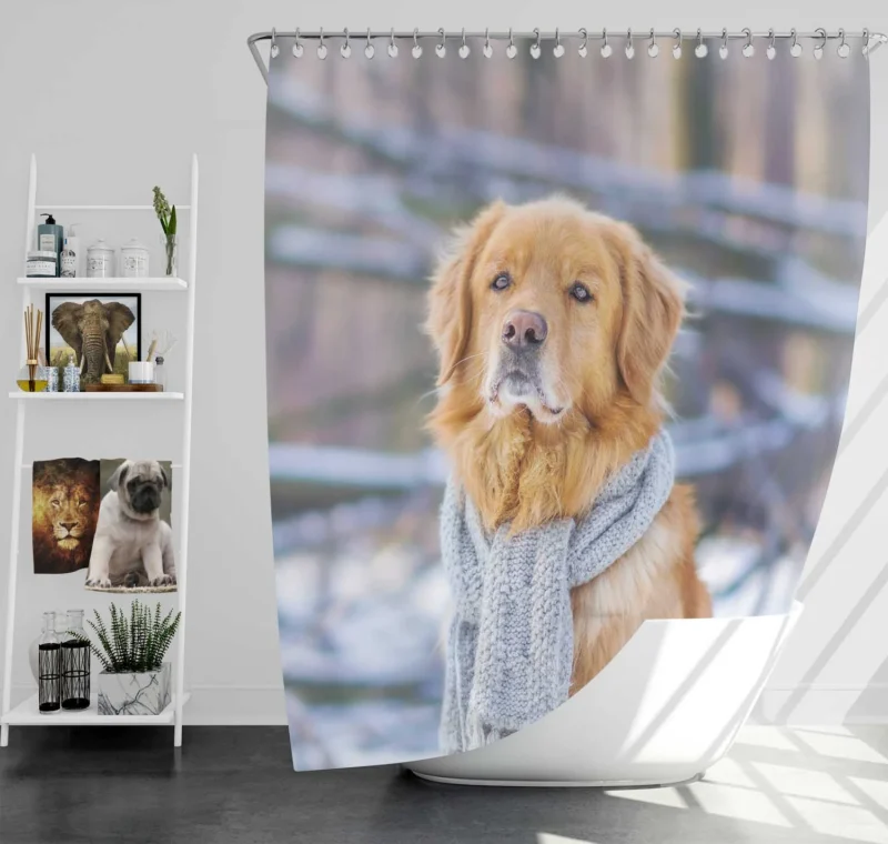 Scarf Beauty: Golden Retrievers in Winter Shower Curtain