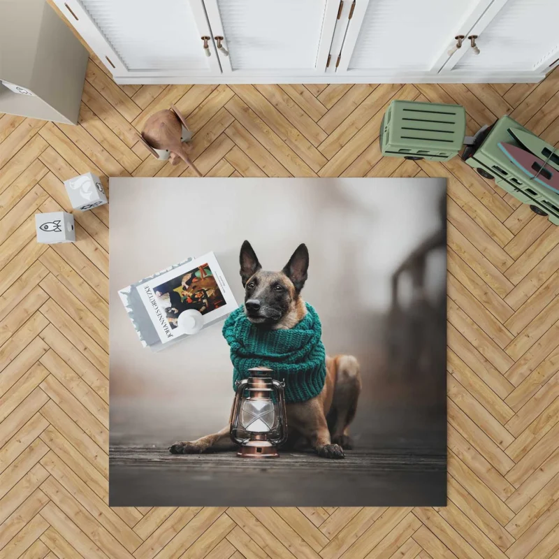 Scarf and Lantern Beauty: Belgian Shepherd Floor Rug