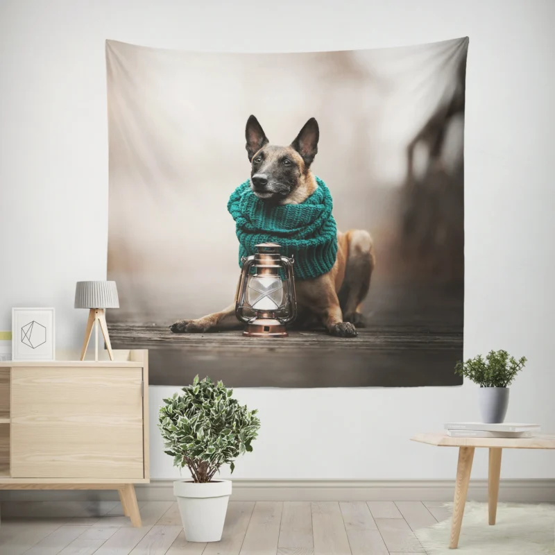 Scarf and Lantern Beauty  Belgian Shepherd Wall Tapestry