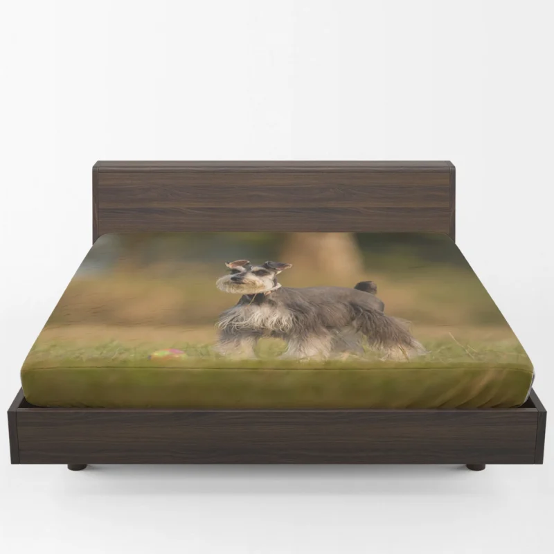 Schnauzer Quartet in Grass with Blur Fitted Sheet 1