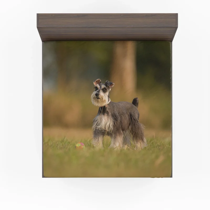 Schnauzer Quartet in Grass with Blur Fitted Sheet