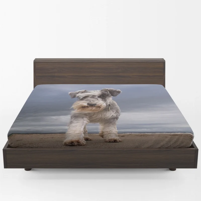 Schnauzer Quartet in Sand with Clouds Fitted Sheet 1